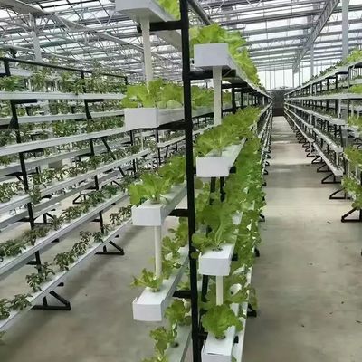 Βιότοπος θερμοκηπίου κάθετης καλλιέργειας σε 40HQ Reefer με υδροπονικό δοχείο