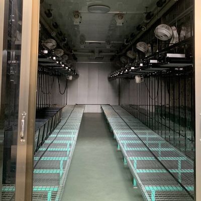 Χάλυβα Κάλυψη Υδροπονική κάθετη γεωργική κοντέινερ θερμοκήπιο με προηγμένη τεχνολογία