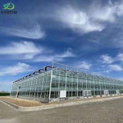 Προσαρμογή Προσαρμόσιμο εμπορικό φιλμ και γυάλινο θερμοκήπιο του θερμοκηπίου Juxiang