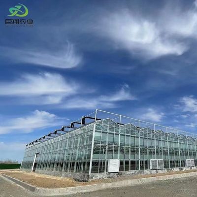 Χρηματοδότηση των ΗΠΑ Juxiang Agricultural Nft Hydroponics System Glass Greenhouse για τα λαχανικά
