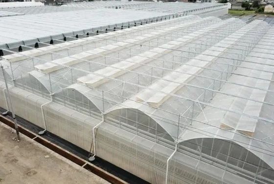 Προέλευση Διπλό-Κύκλωμα Υδροπονικό θερμοκήπιο JX-FG-001 με και 1 τετραγωνικό μέτρο Min.Order