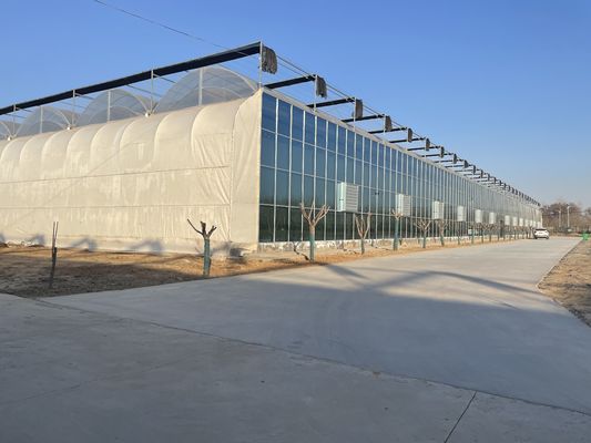 Διπλό στρώμα ντομάτας Αγγούρι Φυτά πιπεριού θερμοκήπιο με και προσωρινή θέρμανση