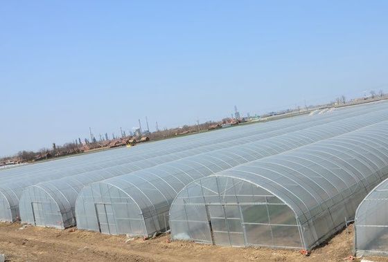 Ημερικανικό σύστημα θερμοκηπίου μίας κατσαρόλας για την καλλιέργεια λαχανικών και λουλουδιών Επιστροφή 30 ημερών