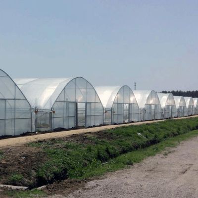 Καλλιέργεια σπόρων Juxiang υδροπονική φάρμα θερμοκήπιο ταινία με εξατομικευμένο αίτημα