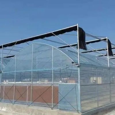 Καλλιέργεια σπόρων Juxiang υδροπονική φάρμα θερμοκήπιο ταινία με εξατομικευμένο αίτημα