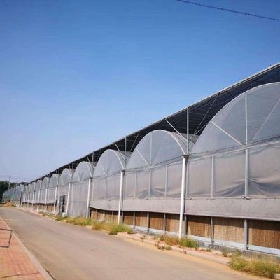 Καλλιέργεια σπόρων Juxiang υδροπονική φάρμα θερμοκήπιο ταινία με εξατομικευμένο αίτημα