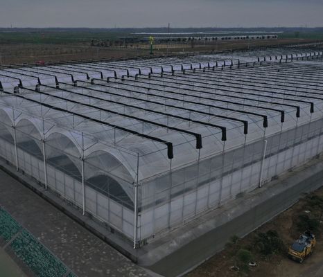 Καλλιέργεια σπόρων Juxiang υδροπονική φάρμα θερμοκήπιο ταινία με εξατομικευμένο αίτημα