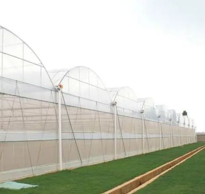 Καλλιέργεια σπόρων Juxiang υδροπονική φάρμα θερμοκήπιο ταινία με εξατομικευμένο αίτημα