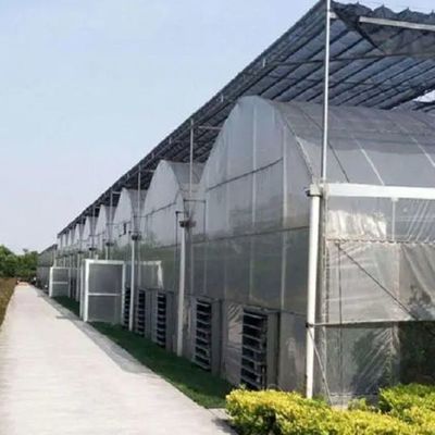 Προσαρμόσιμο υδροπονικό σύστημα για λαχανικά και λουλούδια προσαρμοσμένο στις ανάγκες σας