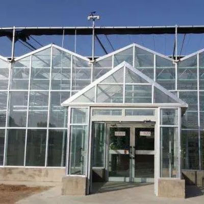 Juxiang φύλλο PC επιφάνεια θερμοκήπιο για υδροπονικά συστήματα καλλιέργειας φράουλα εξατομικευμένη