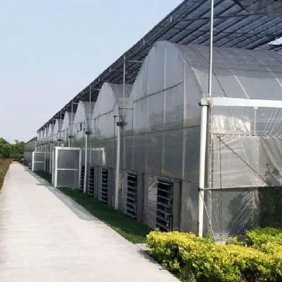 Πολυδιάστατο υδροπονικό σύστημα Juxiang θερμοκήπιο υγρασίας για λουλούδια Επιστροφή επιστροφών