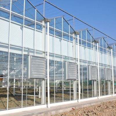 Κλινοθάλασσα θερμοσίπωσης με θερμό νερό με πολλαπλές διαστάσεις για φυτέψιμο για υδροπονική ρύπανση
