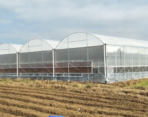 Διπλό φιλμ υδροπονικό σύστημα για πακέτο αγγούρων Μέγεθος 12,09cm * 2,35cm * 2,39cm