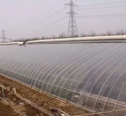 Διπλό φιλμ υδροπονικό σύστημα για πακέτο αγγούρων Μέγεθος 12,09cm * 2,35cm * 2,39cm