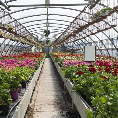 2000.000kg Συσκευή Ακαθάριστο βάρος Φιλμικό θερμοκηπίου για την καλλιέργεια λαχανικών