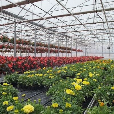 2000.000kg Συσκευή Ακαθάριστο βάρος Φιλμικό θερμοκηπίου για την καλλιέργεια λαχανικών