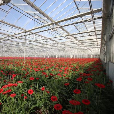 Προσαρμογή θερμοκηπίου από πολυδιάστατο γυαλί φιλικό προς το περιβάλλον και εκτιμώμενος χρόνος παράδοσης