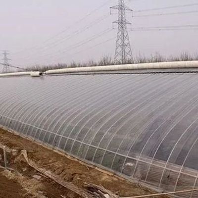 1209cm * 235cm * 239cm Μέγεθος πακέτου θερμοκήπιο για τομάτες και αγγούρια