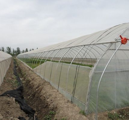 Αρχική πληρωμή Μεγάλο πιπέρι και άνθος υδροπονική με θερμοκήπιο ταινία πλήρης πληρωμή