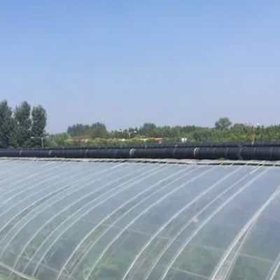 Προσαρμογή Επιλογή Juxiang υδροπονικό σύστημα Φύλλο θερμοκήπιο καλλιέργειας λαχανικών