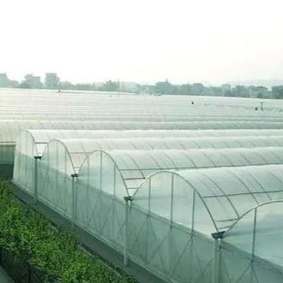 Προσαρμογή Επιλογή Juxiang υδροπονικό σύστημα Φύλλο θερμοκήπιο καλλιέργειας λαχανικών