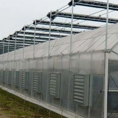 Προσωρινό θερμαντικό κεφαλωτό θερμοκήπιο για την καλλιέργεια τομάτας και αγγουριού
