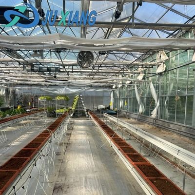 Κανονικό έξυπνο γυάλινο πλαίσιο κήπου Γεωργία θερμοκήπιο Πώληση 100.000kg Ακαθάριστο βάρος