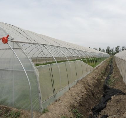 Υδροπονικό θερμοκήπιο με διπλό τόξο πιπεριού και λουλουδιών με σχήμα οροφής πολλαπλών εκτάσεων