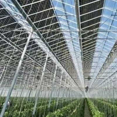 ΗΠΑ Ζεστό DIP Ζυγισμένο Χάλυβα Πολλαπλής Διαστολής Γυάλινο θερμοκήπιο 50.00cm * 60.00cm * 80.00cm