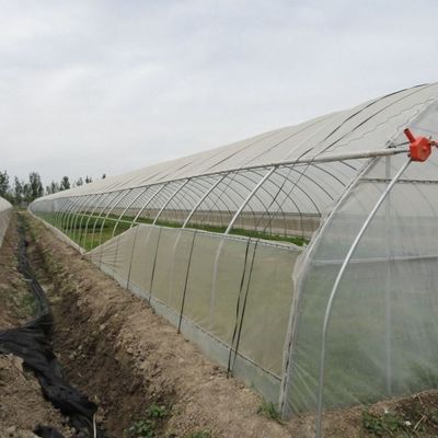1209.00cm * 235.00cm * 239.00cm Φωτοειδές για την καλλιέργεια ντομάτας και αγγουριού