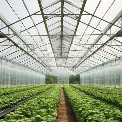 Φυτώριο γυαλιού πολλαπλής διάστασης Venlo με κόστος αποστολής και εκτιμώμενο χρόνο παράδοσης