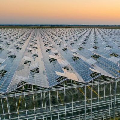 Φυτώριο γυαλιού πολλαπλής διάστασης Venlo με κόστος αποστολής και εκτιμώμενο χρόνο παράδοσης