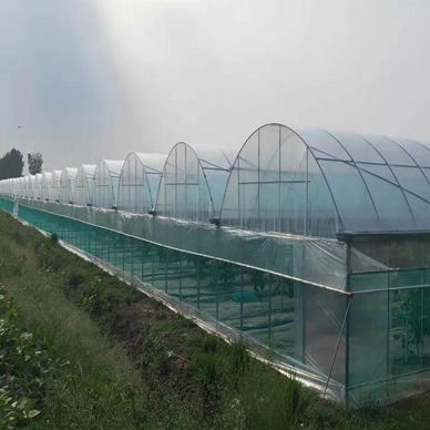 2000.000kg Συσκευή Ακαθάριστο βάρος Ενιαίο υδροπονικό σύστημα για θερμοκήπια διπλής καμπύλης