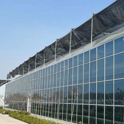 JX-A0018 Γυάλινο θερμοκήπιο για την καλλιέργεια ντομάτας 30 Ημέρες Επιστροφή Επιστροφές Αειφόρος Εύκολος