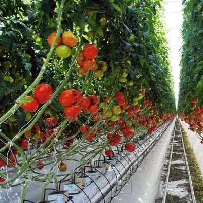Προσωρινό θερμαντικό φιλμ θερμοκήπιο Υδροπονικό σύστημα για φύτευση λαχανικών και λουλουδιών