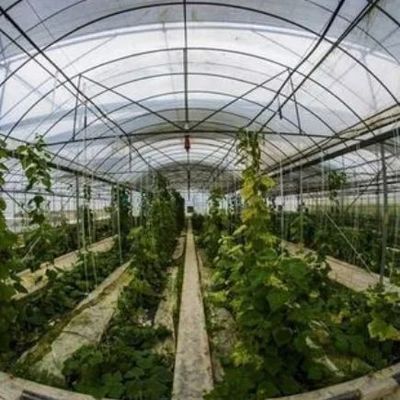 Προσωρινό θερμαντικό φιλμ θερμοκήπιο Υδροπονικό σύστημα για φύτευση λαχανικών και λουλουδιών