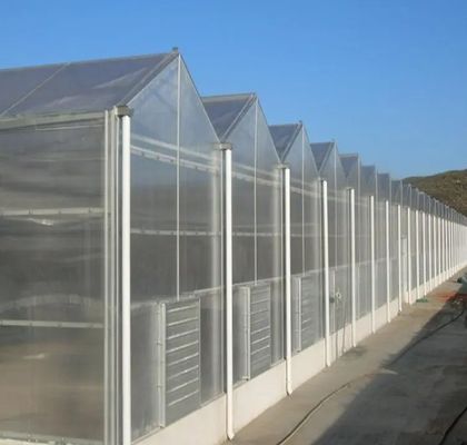 Χλωρίδιο με διπλό τόξο για την ανάπτυξη αγγούρων Πολυδιάστατο και ανθεκτικό κάλυμμα με φιλμ