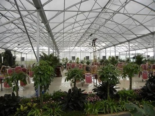 Υδροπονικό θερμοκήπιο σποράς υγρής κουρτίνας με επιλογές προσαρμογής και μεγέθους συσκευασίας
