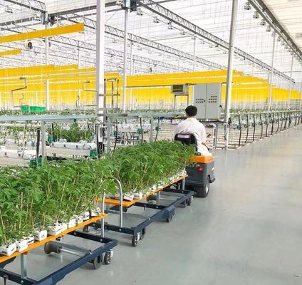 Χειροκηπίο με διπλό στρώμα Juxiang για την παραγωγή λουλουδιών