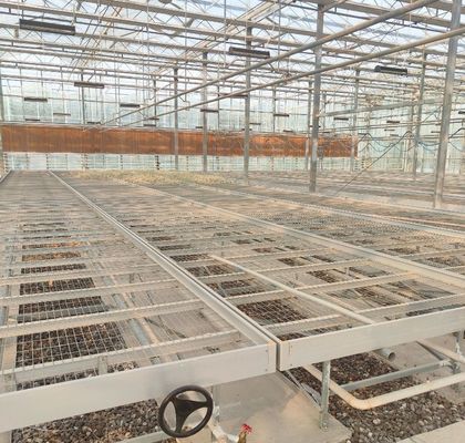 Χειροκηπίο με διπλό στρώμα Juxiang για την παραγωγή λουλουδιών