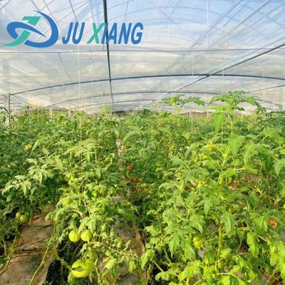 Χειροκηπίο με διπλό στρώμα Juxiang για την παραγωγή λουλουδιών