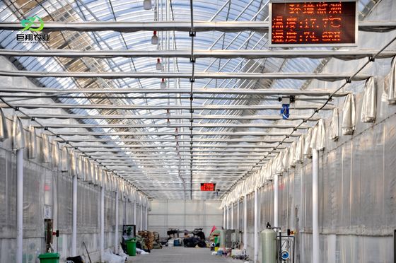 Υδροπονική εγκατάσταση σποράς σε εσωτερικούς χώρους με μεγάλης κλίμακας παραγωγική ικανότητα και καλλιέργεια