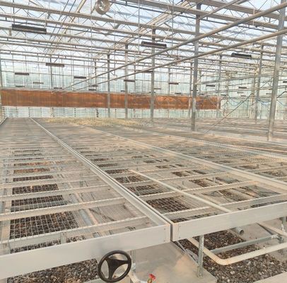 -Κατασκευάστηκε υδροπονικό θερμοκήπιο με τεχνολογία αντι-τρύπανσης με πλήρη πληρωμή καλλιέργειας λαχανικών