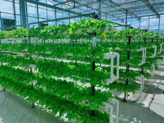 Αντί σταγόνα θερμοκήπιο για τομάτα Αγγούρι Lettuce 12.09cm * 2.35cm * 2.39cm Μέγεθος συσκευασίας