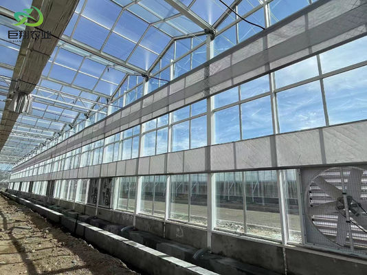 Πακέτο εγκαταστάσεων φύτευσης με ελεγχόμενη υγρασία της Juxiang