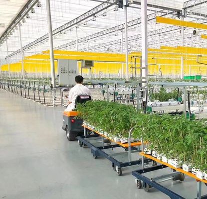 Μεγιστοποιήστε την απόδοση της ντομάτας σας με την τεχνολογία κατά των σταγόνων θερμοκήπια και προσωρινή θέρμανση
