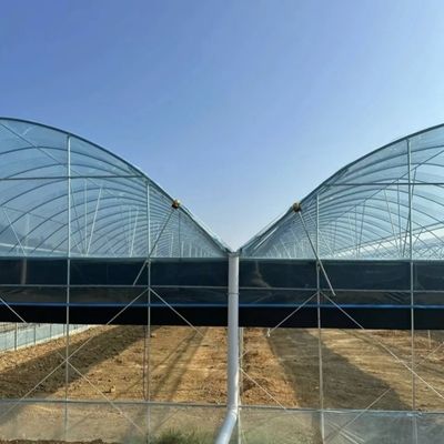 Μεγιστοποιήστε την απόδοση της ντομάτας σας με την τεχνολογία κατά των σταγόνων θερμοκήπια και προσωρινή θέρμανση