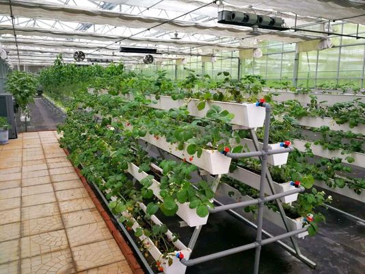 Η Φυτεύτρια Υπηρεσία Juxiang με Ελεγχόμενη υγρασία Η τέλεια λύση για την ανάπτυξη των φυτών