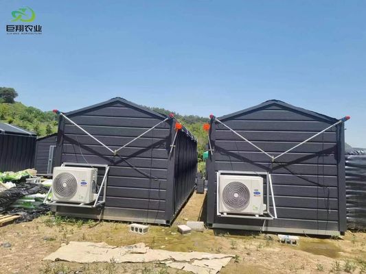 Πράσινα φύλλα Λαχανικά Φωτογραφία PC φύλλο Γεωργικά θερμοκήπια πολλαπλών διαστάσεων για υδροπονική