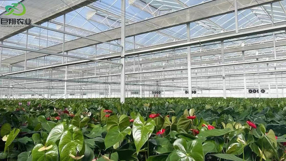 Προσαρμοσμένο αίτημα ψύξη ψύξης φυτευτικό σπίτι για φυτά Χάλυβα δομή προσαρμογή